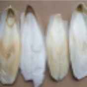 Os de seiche séchés du Vietnam pour produits pour animaux de compagnie, sources de calcium et acheteurs en gros - Product Image 4