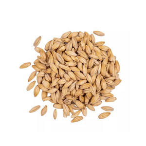 Grano de Cebada Seco Orgánico Premium para Producción de Malta, Proceso AD, a Precio Mayorista - Product Image 2