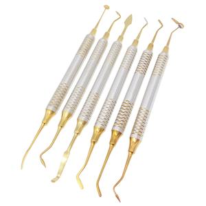 Kit de 6 Instrumentos Ergonómicos para Rellenos Dentales de Composite, Recubiertos en Oro, Herramientas Restauradoras de Acero Inoxidable, Opción de Personalización Completa - Product Image 1