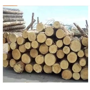High Quality Timber <b>Logs</b> with Consistent Dimensions for Furniture Factories and Manufacturing Companies - Product Image 1