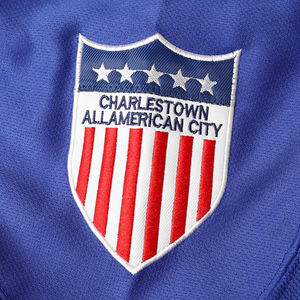 Camisetas de Hockey sobre Hielo Personalizadas con Logotipo y Números Bordados, Alta Calidad, 100% Poliéster Transpirable, Unisex, Colores y Tallas Personalizables XS-5XL - Product Image 5