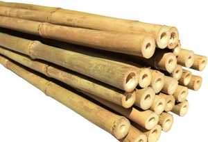 Venta al por mayor de bastones de bambú natural precio barato respetuoso con el medio ambiente tamaño personalizado bastones de bambú para plantar muebles de construcción artesanía - Product Image 2