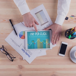 Services professionnels avancés de maintenance et de gestion de la publicité par mots-clés (PPC) KWA pour les boutiques en ligne - Product Image 3