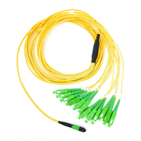 Kabel Patch Fiber Fanout DAMU DM-MPO-SC-OS2-12F MPO 12 Core ke SC APC SM Single Mode Breakout Cable FTTH untuk Jaringan Pusat Data