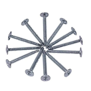 Tornillo Autorroscante de Cabeza de Puente Industrial M5x20, Zincado, para Conexión de Estructuras Metálicas - Product Image 1