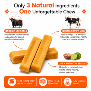 Masticables Orgánicos de Yak del Himalaya para Perros, Hechos a Mano, Naturales, Secos, con Alto Contenido de Proteínas, Sin Granos, Snacks Saludables para las Articulaciones y el Cuidado Dental, Tamaño Personalizado - Product Image 5