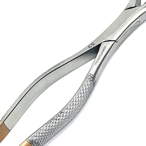 Pinzas de Extracción Dental # Pinzas de Extracción 151 de Acero Inoxidable para Dientes Bicuspide, Incisivo Inferior y Raíz Inferior - Product Image 6