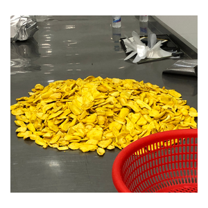 Fabricante Vietnamita de Jaca Dorada Deshidratada Premium que Ofrece Bocadillos de Fruta Tropical Crujiente para Distribución al por Mayor - Product Image 1