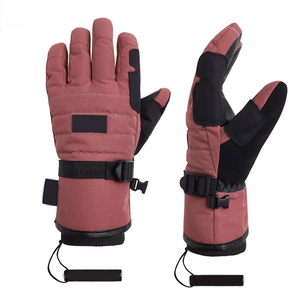 Gants de ski en gros, imperméables et thermiques pour l'hiver, avec poignet réglable, pour les activités sportives sur neige - Product Image 1