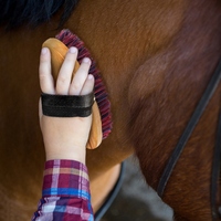 Juego de herramientas de aseo para caballos de acero inoxidable, kit de limpieza reutilizable, peine para crin y cola, cepillo de masaje, raspador de sudor, limpiador de pezuñas