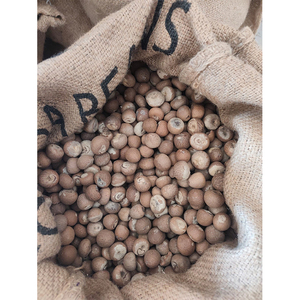 Fornitura Diretta dalla Fabbrica, Ottima Qualità per l'Esportazione, Noci di <span class=keywords><strong>Betel</strong></span> Sfilettate e Tagliate, Prezzo di Mercato Ragionevole, OEM Accettato - Product Image 1