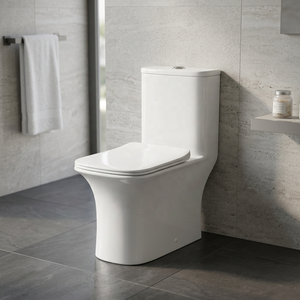 Ensemble WC monobloc en céramique avec siphon, anti-odeur, anti-gel, anti-fissuration, à poser au sol, pour salle de bain, vente en gros - Product Image 1