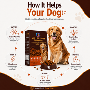 Alimento para Perros y Gatos de Marca Privada, Alto en Proteínas, Ingredientes Orgánicos, Nutrición Completa y Equilibrada, Fabricante de Suministro a Granel OEM ODM - Product Image 4