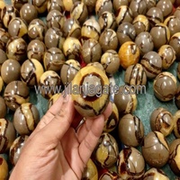 Sphères Septariennes Polies en Cristal de Miel Naturel de Haute Qualité – Vente en Gros, Décoration d'Intérieur, Tendance Mode, Énergie Guérisseuse, Cadeau d'Affaires