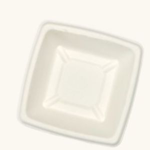 Tazón Mini Desechable Compostable de Bagazo 4x4 de Calidad Premium para Servir Comida a Diario, Disponible a Precio de Fábrica - Product Image 1
