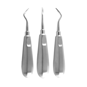 เครื่องมือถอนรากฟันแบบโค้งและแบบตรงยี่ห้อโคลแมน - Product Image 6