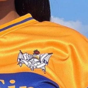 Camiseta Deportiva Personalizada para Mujer, Estilo Equipo Atlético, Manga Corta, Uniforme Deportivo con Diseño de Letras Bordadas - Product Image 3