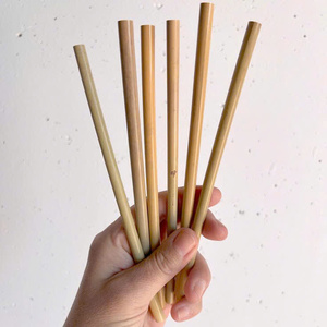 Sustainable Bamboo <b>Straw</b> Fiber <b>Straw</b> Reusable Bamboo Biodegradable Customize <b>Straw</b> With Logo - Product Image 1