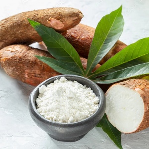 Amidon de tapioca vietnamien pur, polyvalent, sain et idéal pour la transformation alimentaire et l'exportation – Meilleure qualité à prix compétitif. - Product Image 1