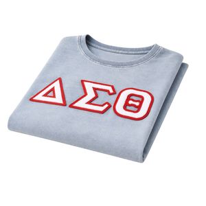 Camisa Premium de Chenilla Vaquera Clara Delta Sigma Theta para Mujer, Ajuste Cómodo, Ropa de Alta Calidad para Hermandades Griegas, Uso Casual - Product Image 6