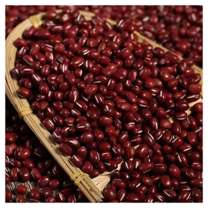 Fournisseur en gros de haricots rouges naturels de qualité supérieure, emballage en vrac pour les marchés d'exportation - Product Image 1