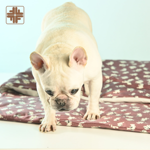 OEM ODM dog bed mat soft crate mat with anti-slip bottom & blanket