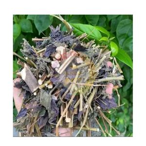 Té Adelgazante de Hojas de Perilla Púrpura Descafeinadas de la Mejor Calidad, Perilla Frutescens Natural de Vietnam y Japón, Paquete a Granel Personalizado - Product Image 4