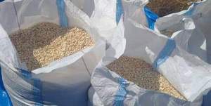 Maíz Blanco Africano Seco No Glutinoso de la Mejor Calidad para Consumo Animal y Humano, Stock Disponible para Envío a Granel, Mejor Precio del Mercado - Product Image 5
