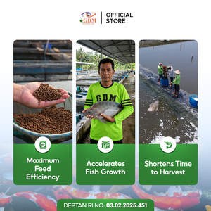 GDM Organic Liquid Aquaculture Feed Additive <b>5L</b> Fish Probiotic for Tilapia Carp Catfish Shrimp Healthy Farming - Product Image 5