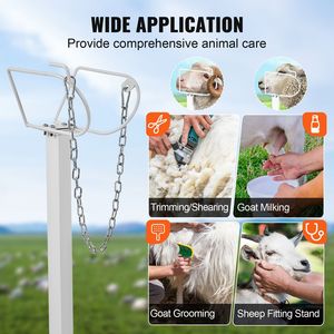 Soporte Metálico Ajustable en Altura para Cabras y Ovejas de 51x23 Pulgadas, Equipo para Ordeño y Esquilado de Ganado de 21 a 33 Pulgadas - Product Image 4