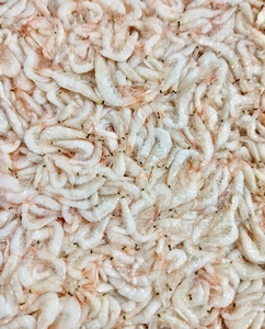 Venta Caliente: Camarones Cocidos Congelados de Primera Calidad, Venta al por Mayor, Grado Alimenticio, Stock Disponible, Mejor Calidad para Exportación - Product Image 2