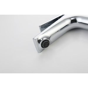 Rubinetto Monocomando Cromato per Lavabo Bagno e Lavanderia con Due Tubi da 3/8'' - Rubinetti Monocomando per Lavabo - Product Image 2