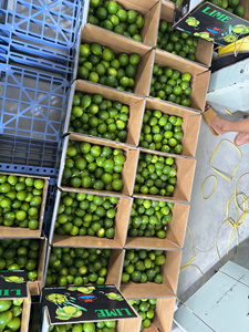Limones sin Semillas de Vietnam de Primera Calidad, Color Verde Oscuro, Marca TECHMIFOOD (4.5 kg) para Cocinar y Preparar Bebidas - Product Image 4