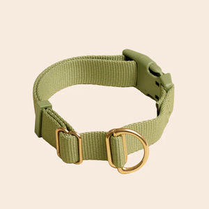 Collier pour chien en nylon réglable de qualité supérieure avec anneau en D doré, boucle de couleur personnalisée, collier pour animal de compagnie minimaliste de créateur, vente en gros - Product Image 2