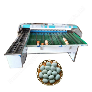 <b>Egg</b> Grader for Sale <b>Egg</b> Grading Weighing Sorting Machine Fish <b>Egg</b> Grading Machine - Product Image 2