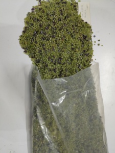 Lote de Peridoto Natural en Bruto 11 - Product Image 5