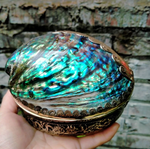 <b>Abalone</b> <b>Shell</b> Jewelry Box Polished Mother of Pearl Gift Box Seashell Jewelry Organizer Vietnam Factory Wholesale Custom Label - Product Image 1