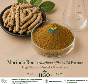 Approvisionnement direct d'usine HGO en extrait de racine de Morinda (officinalis) naturel pur (qualité alimentaire) spécification 10:1 (extrait de rapport) - Product Image 1