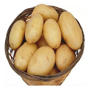 Patatas frescas para cocinar, freír, asar, hornear y aplicaciones de preparación de alimentos comerciales - Product Image 2