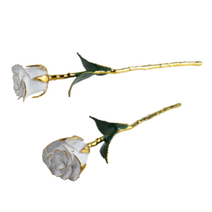 Rosa Preservada de Lujo con Acabado Blanco y Detalles Dorados, Diseño Combinado de Esmalte y Dorado, Ideal para Regalo, Rosa Natural - Product Image 2