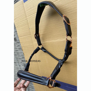 Harnais en cuir anatomique de qualité supérieure pour cheval, avec nezier rembourré et ferrures en laiton avec cristaux sur le nezier, équipement équestre - Product Image 5