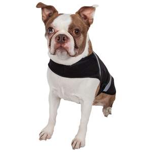 Extreme Neoprene Multi-Purpose Dog Coat Protective Shell <b>Leg</b> Guards and <b>Warmers</b> - Product Image 2
