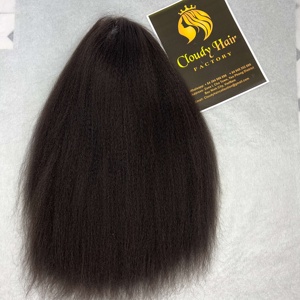 Unprocessed Vietnamese Natural Human Hair Frontal Lace 13x4 13x6 HD Kinky Straight Wigs for Everyone - Product Image 2