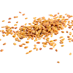 Semillas de Alfalfa Puras para Forraje, Textura Suave, Alto Contenido de Humedad y Proteínas, 12 Meses de Vida Útil, Heno para Alimentación de Ganado, Kohenoor - Product Image 5