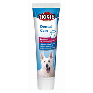 Dentifrice pour chien au goût de bœuf 100g Produit - Product Image 1