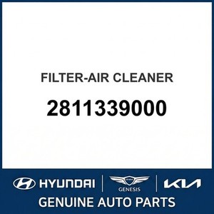 Grandeur/Azera Nuevos Filtros de Aire 2811339000 - Product Image 1