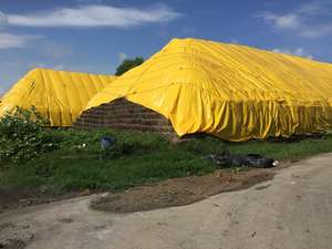 Lona Agrícola Resistente con Protección UV, Lámina Impermeable para Aplicaciones Agrícolas al Mejor Precio al por Mayor - Product Image 4