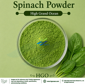 HGO Factory Direct Supply of Natural Spinach <b>Powder</b> (Food Grade) Vegetable <b>Powder</b> Spray Drying or Freeze-dried Spinach <b>Powder</b> - Product Image 1