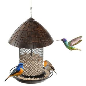 Hanging Bird Feeder with Comfort Perch and Convenient Drain Holes Essential Bird Supplies - Product Image 1