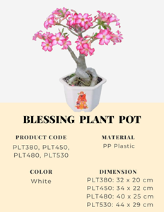 Jardinière en plastique de forme ronde en gros avec des motifs de dragon et de phénix pour l'utilisation au sol - Product Image 3